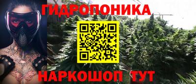 мдма Моздок
