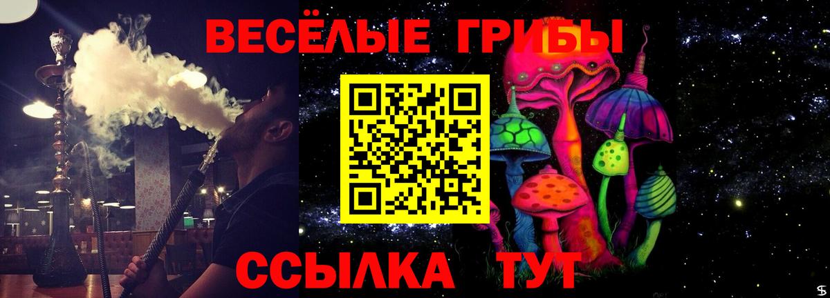 Гай  Псилоцибиновые грибы MAGIC MUSHROOMS  Вход с VPN 